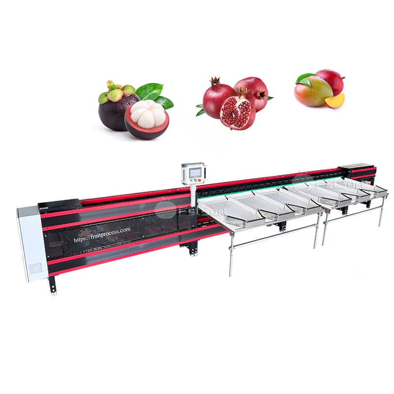 images/1763099805872guava 2.jpg